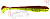 ВИБРОХВОСТ LUCKY JOHN TIOGA 3.9' #T57